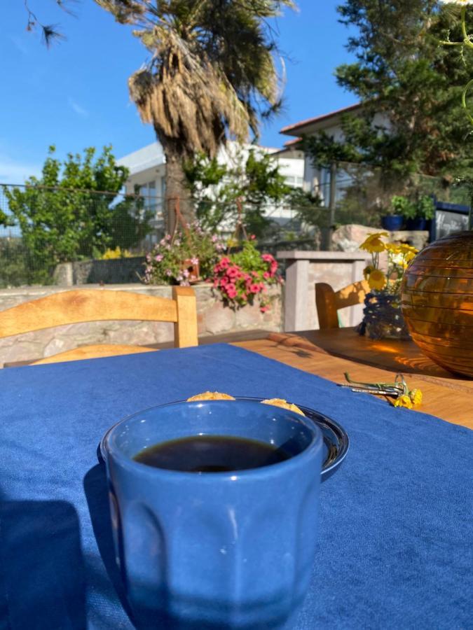 Lacivert Hotel Айвалык Экстерьер фото